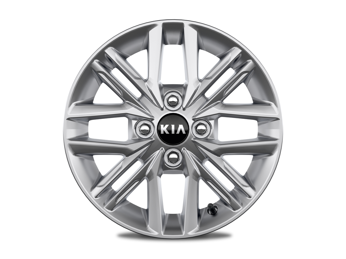 IB_S_BASIC_COPYRIGHT =